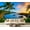 Color 4, variant on Wall Mural Peel and Stick Maui Coastline Hawaii Islands Self-Adhesive Wallpaper Removable Wall Decal Wall Sticker Home Decor for Living Room Bedroom 69"x96"