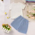 thumbnail image 4 of ZEHJUHAN Toddler Bunny 2-Piece Set Rabbit & Carrot Embroidery Short Sleeve T-Shirt and Striped Pocket Shorts Blue，12-18M, 4 of 12