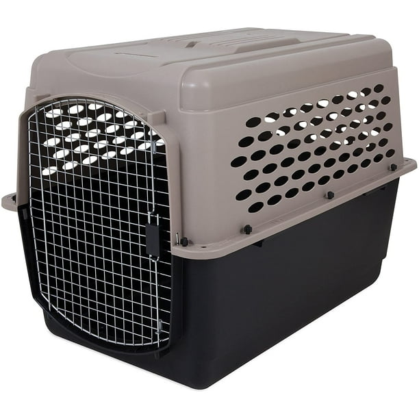 Petco Classic Dog/Pet Kennel, Lockable, 40in Canadian Tire atelier