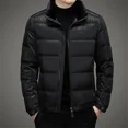 thumbnail image 2 of Ropa de diseñador para hombre, chaqueta de plumón ultraligera, chaquetas ligeras acolchadas con cuello alto para hombre, abrigo de invierno con relleno de plumón de pato para hombre, 2 of 5