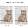 thumbnail image 3 of SKYSONIC British Kitten Isolated on White Double Side Print Garden House Sports Flag 12x18 in Polyester Decorative Flag Banner for Outside House Flowerpot, 3 of 7