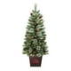 thumbnail image 1 of Arbolito Holiday Time Con 50 Luces LED Blanco Cálido, 1 of 4