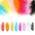 thumbnail image 3 of 400PCS Colored Feathers 4-6in, 8 Colors Ostrich Feathers for DIY Crafts Dream Catcher Art Earrings Carnival Costumes Wedding Holiday Party Decorations, 3 of 7