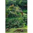 thumbnail image 2 of Engelbrecht, Lisa S. 13x18 White Modern Wood Framed Museum Art Print Titled - Princeville Botanical Garden-Princeville-Kauai-Hawaii, 2 of 4
