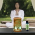 thumbnail image 3 of Aromar Lotus Gardens (2.2 oz Aromatic Oil), 3 of 3