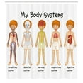 thumbnail image 3 of Ambesonne Science Shower Curtain, Human Nerve System, 69"Wx75"L, Multicolor, 3 of 3