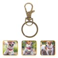 thumbnail image 3 of 60pcs Bag Buckle Metal Key Rings DIY Keychain Accessories Zinc Alloy Keyring Buckle (Bronze), 3 of 3