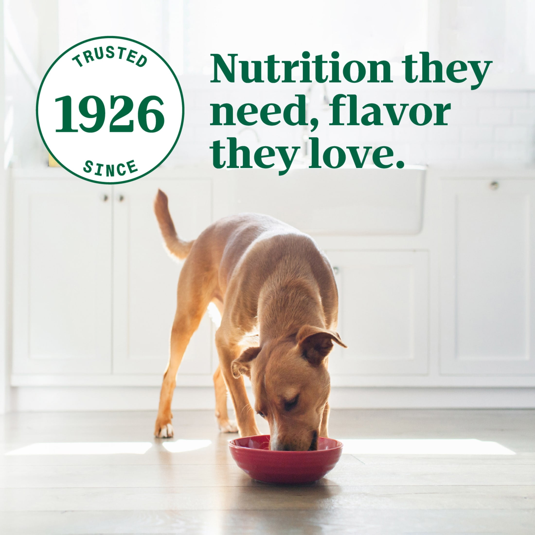 Nutro Ultra Adult Pate Trio Of Proteins Chicken, Lamb & Whitefish Wet Dog Food, (24) 3.5 Oz Trays