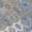 Denim, variant on Addison Rugs Chantille Indoor/Outdoor Transitional Casual Aloe Machine Washable Rectangle Rug, 10' x 14'