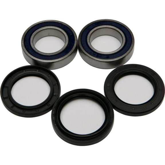 All Balls Wheel Bearing and Seal Kit    25-1122