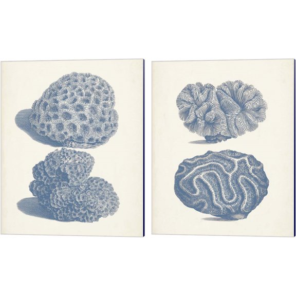 Great Art Now Antique Coral Collection C by Vision Studio 2 Piece Canvas Art Set Each 12W x 15H