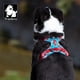 thumbnail image 4 of Truelove Pet Explosion-proof Dog Harness Camouflage Reflective Nylon Special Edition and Upgrade Version Easy to Adjust TLH5653 ShopWise Round, 4 of 6
