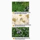 thumbnail image 5 of Yuarrent Panel de pared con flores para cercar, hojas de parra brillantes, hojas verdes artificiales para privacidad, ideal para bodas Decoración del hogar mi, 5 of 6