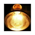 thumbnail image 2 of Lámpara de calor LYUMO de 200 W, impermeable, a prueba de explosiones, bombilla E27, luz de calor para lechones gruesos, ideal para la cría de pollos y cerdos (200 W, 220 V), 2 of 8