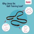 thumbnail image 3 of Correa de entrenamiento Halti multifuncional de doble punta para perros, 2 m, 3 of 6