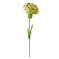 thumbnail image 1 of Clavel Verde Matcha ANGGREK ramo simulado de flor de clavel hecho a mano, 1 of 8