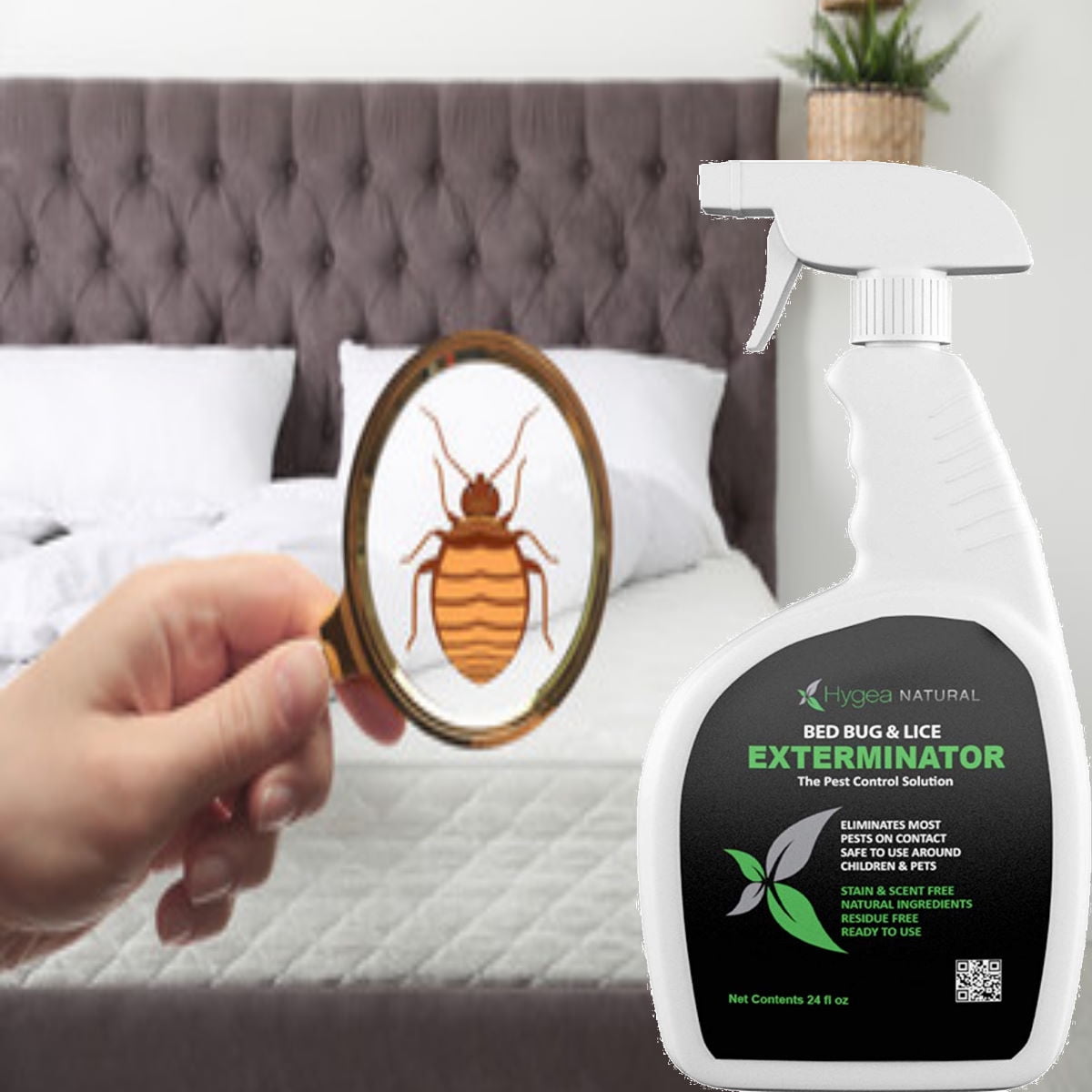 Bed Bug Killer Spray & Lice Killer Plus Kill Eggs Before Infestation ...