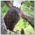 thumbnail image 1 of Picture-Tiles.com: Bird Ceramic Tile Wall Mural WAL500144-55L. 40"W x 40"H using (25) 8" x 8" Ceramic Tiles-Satin Finish, 1 of 3