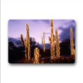 thumbnail image 1 of RYLABLUE Tapis de Sol Saguaro Tapis de Sol Extérieur/intérieur Taille 30x18 Pouces, 1 of 1