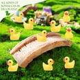 thumbnail image 3 of Minipatos de resina Ysesoai, 100 unidades, para casa de muñecas, jardín, bricolaje, 3 of 7