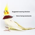 thumbnail image 4 of CBFFDC Bird Restraint Device Adjustable Parrot Recovery Collar Anti Biting Injury Protection Fastener Fixing Bird Collar Pet Bird Accessory, 4 of 7