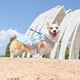thumbnail image 5 of Ropa fresca para mascotas Ropa refrescante de verano para perros Chaleco resistente al calor de verano Ropa fresca para perros, 5 of 6