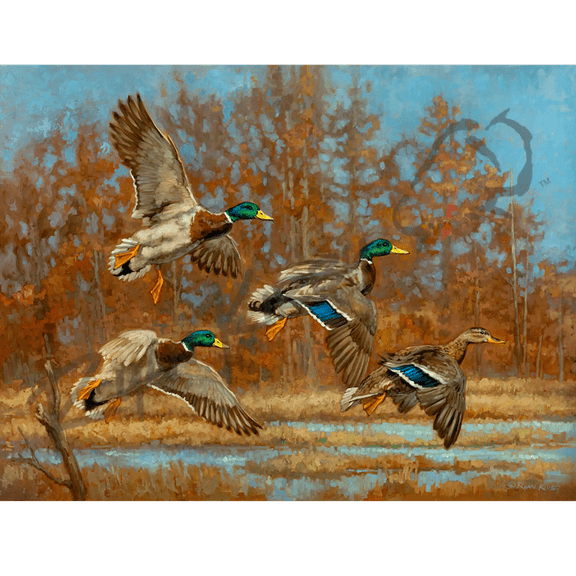 "Marsh Madness" Flying Mallards Canvas Art Print