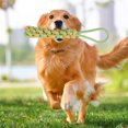 thumbnail image 3 of Dog Rope Toy Puppy Rope Chew Toys Durable Rope Knot Dog Toy Puppy Teething Playing Toys For Small Dogs Puppies, 3 of 4