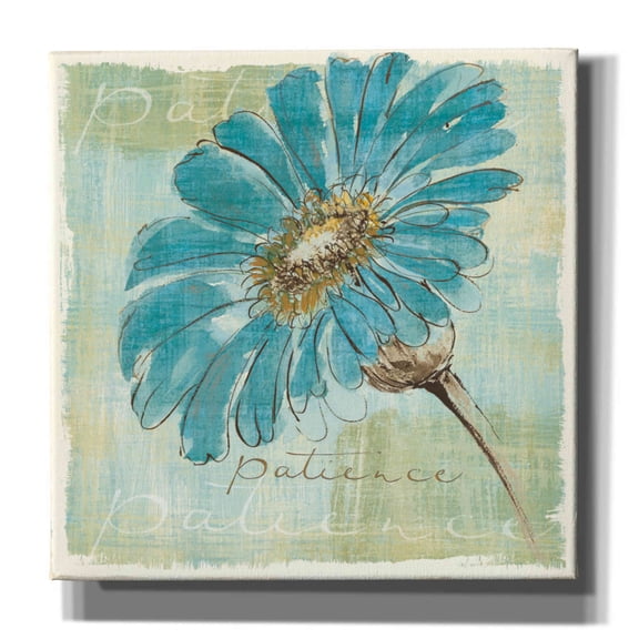 Epic Graffiti 'Spa Daisies II' by Chris Paschke, Canvas Wall Art, 12"x12"