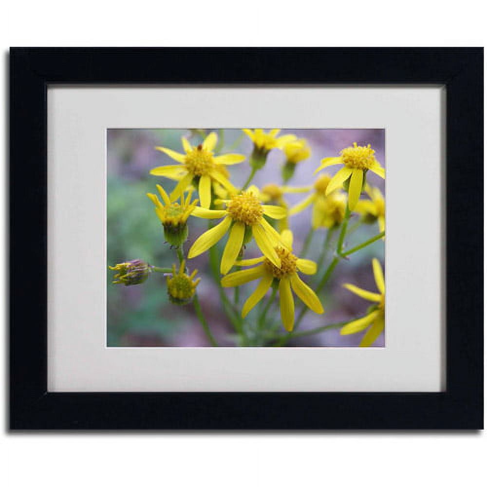 Trademark Fine Art "Intriguing Dynasty" Canvas Art by Monica Fleet, Black Frame
