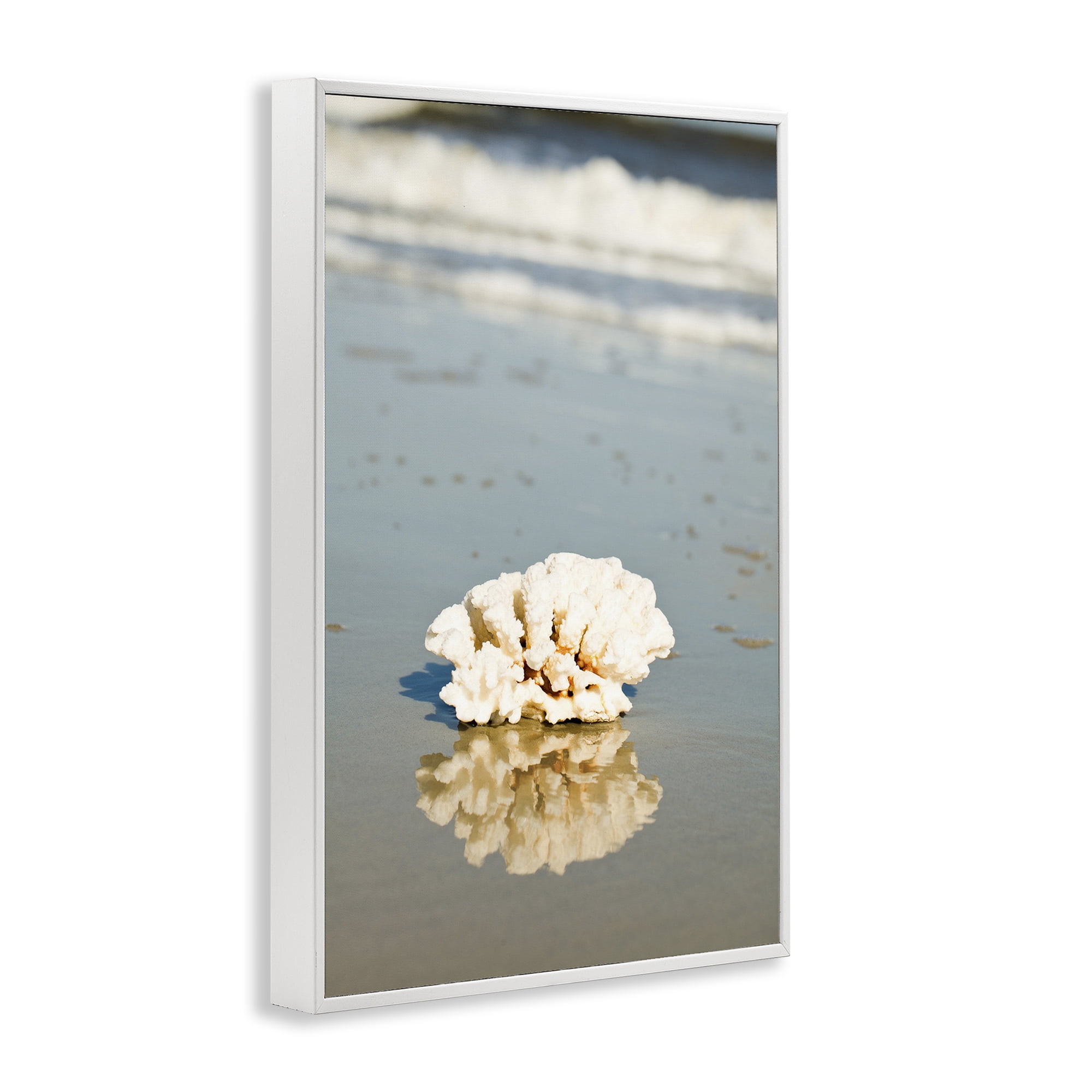 Stupell Industries Coral on Sea Shore Coastal Photography White Framed Art Print Wall Art, 12 x 18