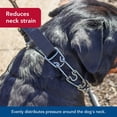 thumbnail image 3 of Collar de entrenamiento Coastal Pet Titan Easy-On con hebilla de 3,3 mm, 3 of 7