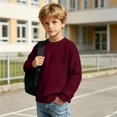 thumbnail image 6 of Kids Solid Color Waffle Knit Crew Neck Sweatshirt Boys Girls Long Sleeve Pullover Soft Lined Fall Winter Casual Basic Top for Daily School Layering Wear(,4-5 Years), 6 of 8