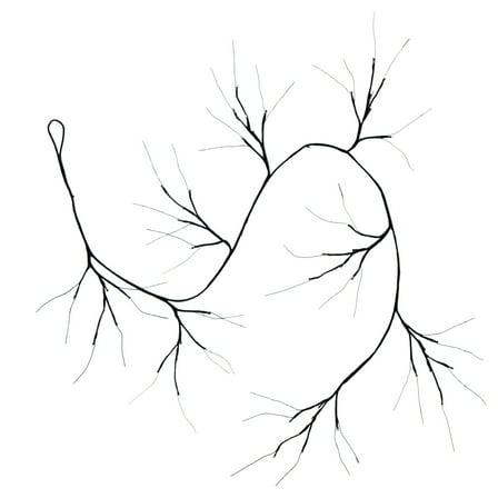 Nearly Natural 6.5ft. Pre-Lit Artificial Halloween Black Twig Garland with 48 Purple LED Lights