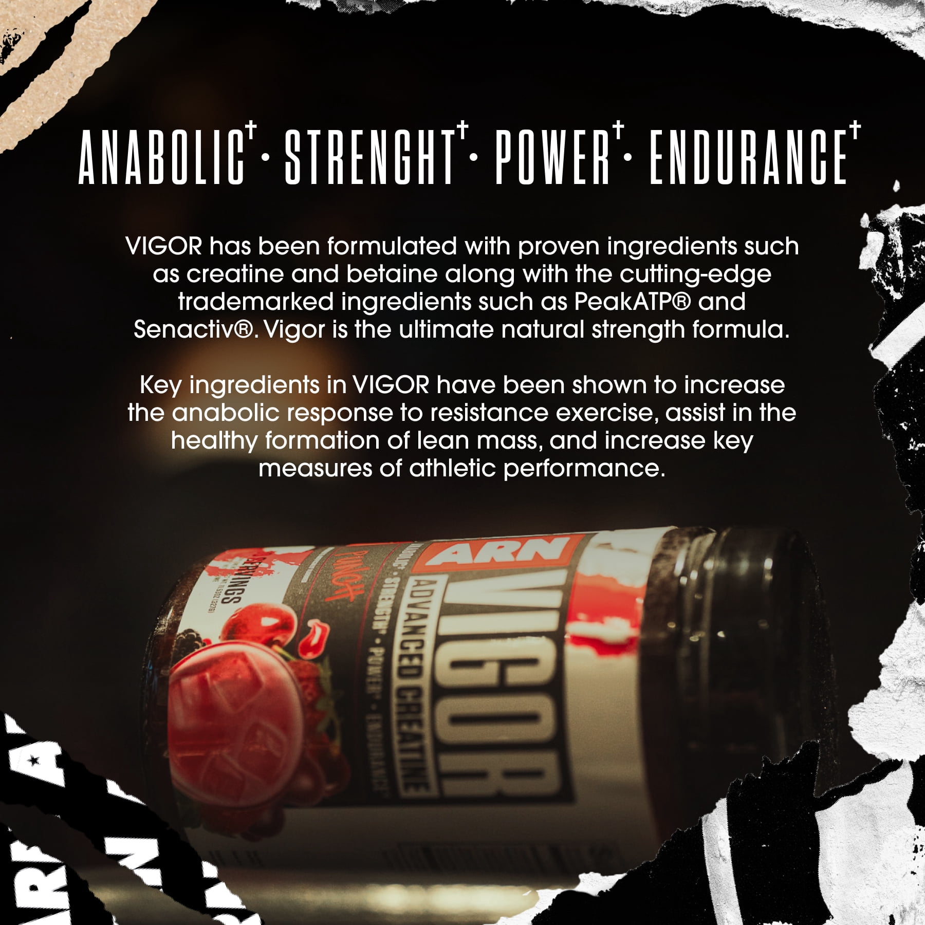Arms Race Nutrition | ARN | Vigor Advanced Creatine Formula (30 Servings, Orange Julian)