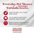 thumbnail image 5 of Nature’s Miracle Stain And Odor Remover Dog 16 Ounces, Odor Control Formula, Pour, 5 of 7