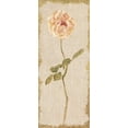 thumbnail image 2 of Blum, Cheri 15x32 White Modern Wood Framed Museum Art Print Titled - Pale Rose Panel on White Vintage v2, 2 of 4