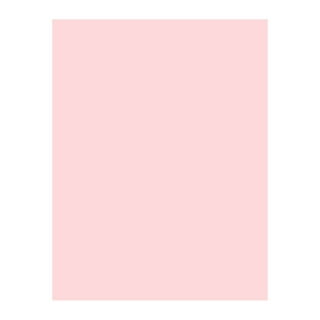 7530-01-398-2680) NEON PINK COPY PAPER - Louisiana Association For The Blind