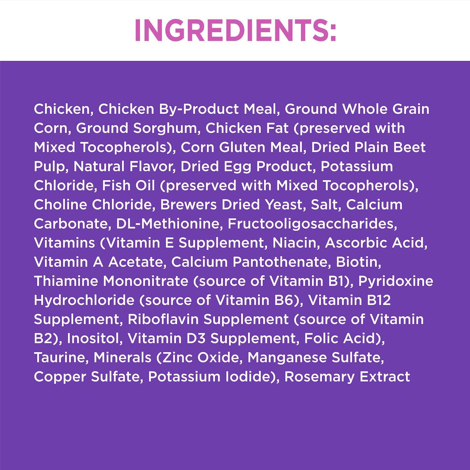 Buy Iams ProActive Health Kitten Digestion Support HighProtein Healthy