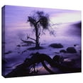 thumbnail image 2 of Dean Uhlinger "Sand And Snow" Gallery-Wrapped Canvas, 2 of 2