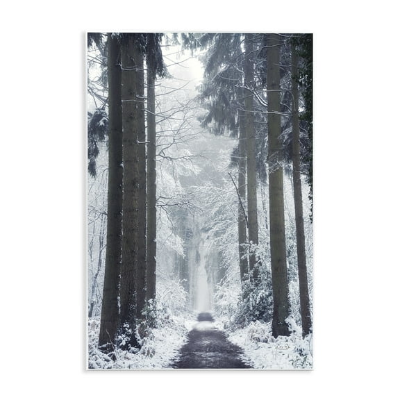 Stupell Industries Winter Fir Path Landscape Photography Unframed Art Print Wall Art, 10 x 15