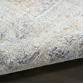 thumbnail image 6 of Nourison Timeless Classics Center medallion Grey Gold 3'3" x 5'3" Area Rug (3x5), 6 of 7