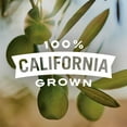 thumbnail image 5 of ( 2 Pack ) Pearls Extra Large Pitted California Ripe Olives 6 oz. Can., 5 of 6
