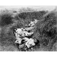 thumbnail image 2 of Filipino Casualties On The First Day Of Philippine-American War History (24 x 18), 2 of 2