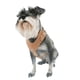 thumbnail image 1 of Pechera P/perro Cuero Genuino Talla M, 1 of 2