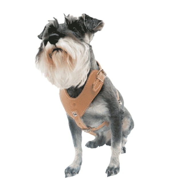 Pechera P/perro Cuero Genuino Talla M