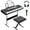 Set, variant on 61 Key Keyboard Piano, Electric Piano Keyboard Kit, Includes Speaker Microphone, Sheet Stand and Power Supply, Gift for Beginners