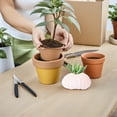thumbnail image 2 of 6 soportes para plantas aéreas con forma de erizo de mar, macetas con forma de concha, maceta creativa con forma de concha, 2 of 8