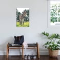 thumbnail image 4 of Donkey, Baby 5 Days Old, Animals Botanical Scenic Unframed Photographic Print Wall Art Sold by ArtCom, 4 of 4