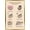 Gold Framed Version, variant on Pusheen - Thankful Wall Poster with Push Pins, 14.725" x 22.375"